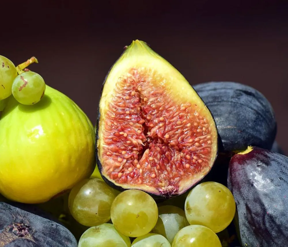 Dehner Nüsse & Besondere Obstbäume|Obstbäume > Bornholmfeige