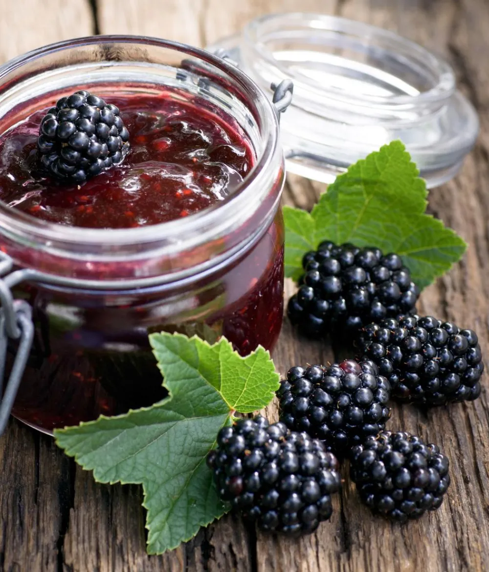 Dehner Himbeeren & Brombeeren|Beerensträucher - Brombeere 'Navaho®' Schwarz
