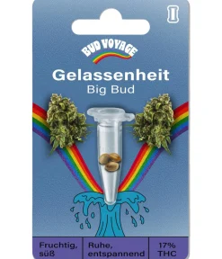Bud Voyage Mehr Saatgut - Hanfsamen Gelassenheit Big Bud, 3 Stk.