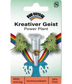 Bud Voyage Mehr Saatgut > Hanfsamen Kreativer Geist Power Plant, 3 Stk.
