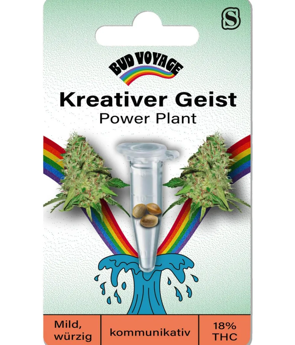 Bud Voyage Mehr Saatgut > Hanfsamen Kreativer Geist Power Plant, 3 Stk.