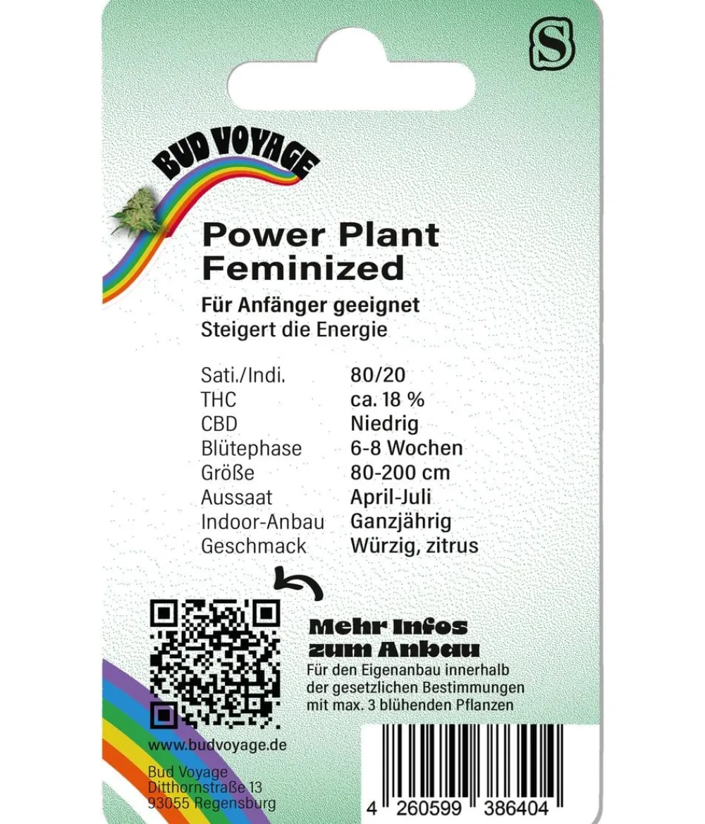 Bud Voyage Mehr Saatgut > Hanfsamen Kreativer Geist Power Plant, 3 Stk.