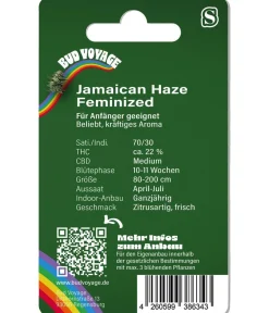 Bud Voyage Mehr Saatgut > Hanfsamen Lachflash Jamaican Haze, 3 Stk.