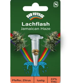 Bud Voyage Mehr Saatgut > Hanfsamen Lachflash Jamaican Haze, 3 Stk.