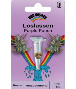 Bud Voyage Mehr Saatgut - Hanfsamen Loslassen Purple Punch, 3 Stk.