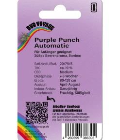 Bud Voyage Mehr Saatgut - Hanfsamen Loslassen Purple Punch, 3 Stk.