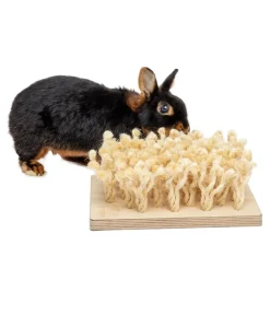 bunny® NATURE by puppijames Nagerspielzeug Schnüffelbrett, ca. B24,5/H9/T24,5 cm Hot