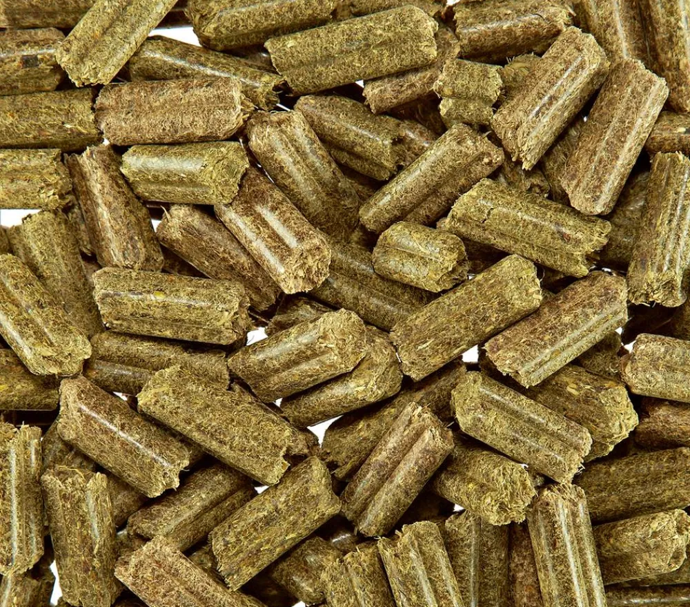 bunny NATURE Kleintierfutter - bunny® NATURE Kaninchenfutter KaninchenTraum BASIC