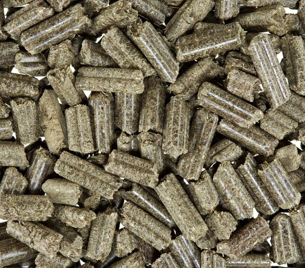 bunny NATURE Kleintierfutter - bunny® NATURE Kaninchenfutter KaninchenTraum HERBS