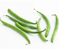 Dehner Gartengemüse > Buschbohne