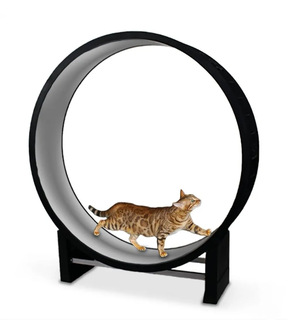 CanadianCat Company® Katzenlaufrad Cat in Motion XL, ca. B131/H144/T31 cm Hellgrau Clearance