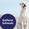 Canosept® Ohren- & Augenpflege|Hundepflege & Hygiene - Ohrreiniger für Hunde, 125 ml