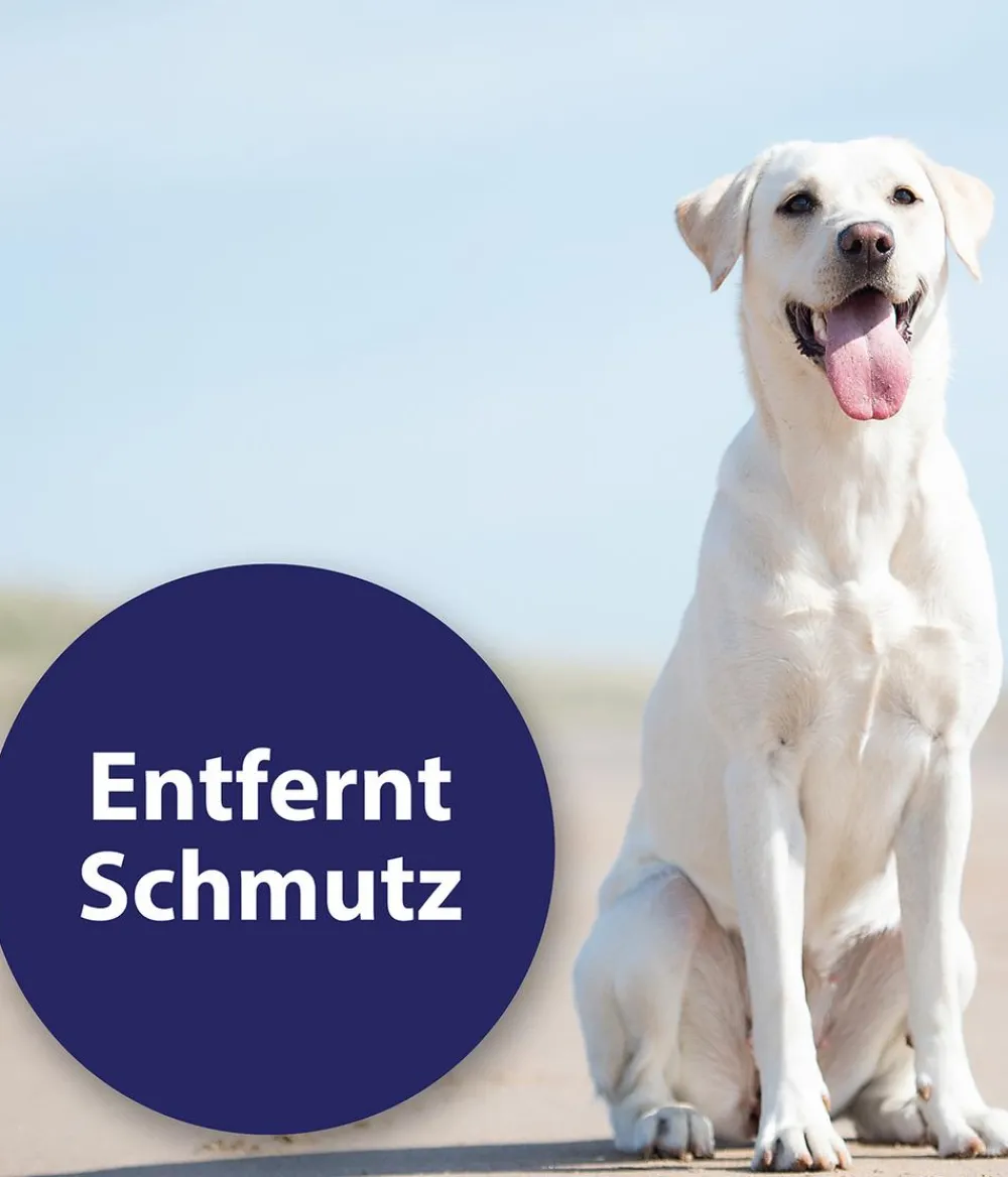 Canosept® Ohren- & Augenpflege|Hundepflege & Hygiene - Ohrreiniger für Hunde, 125 ml