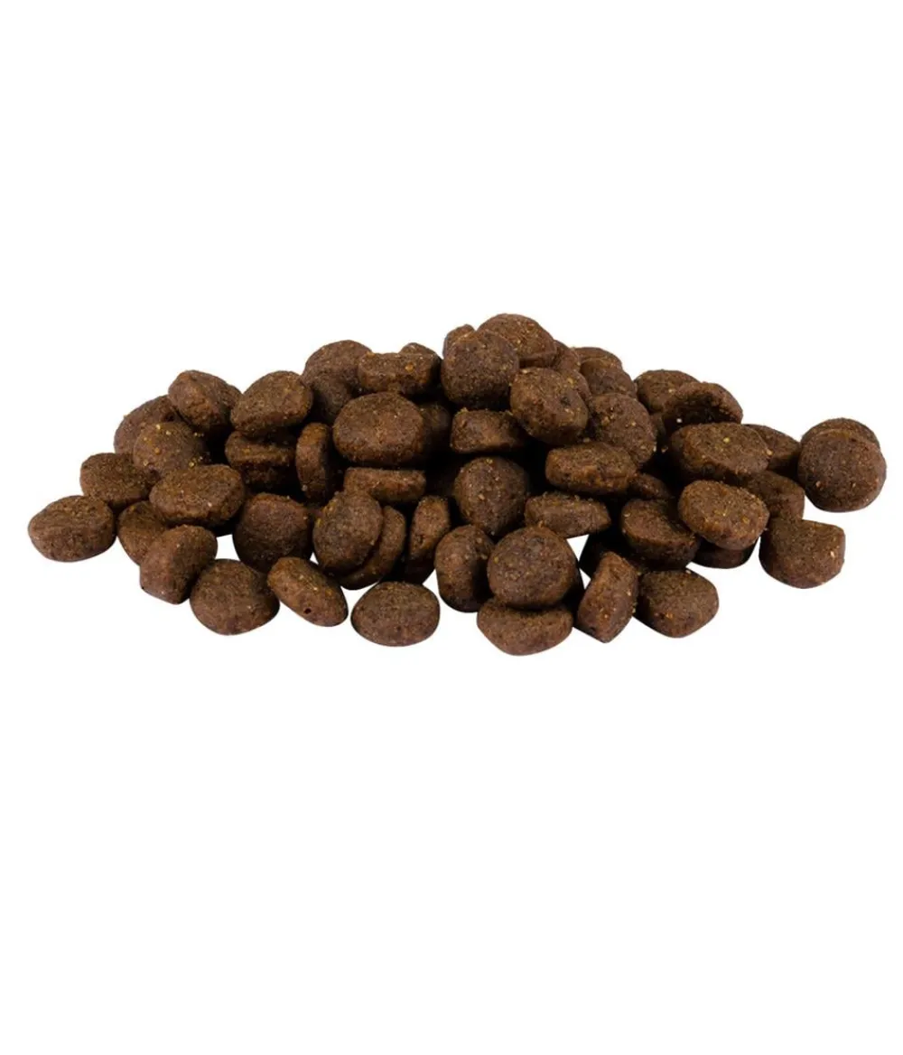 Carnilove Trockenfutter Hund > Trockenfutter für Hunde Puppy, Lachs & Truthahn