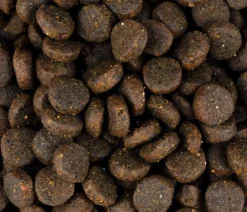 Carnilove Trockenfutter Hund > Trockenfutter für Hunde Puppy, Lachs & Truthahn