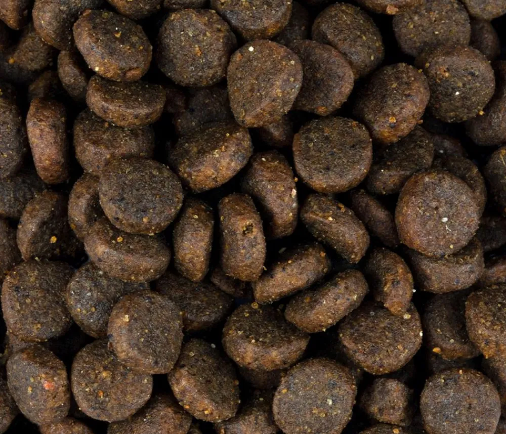 Carnilove Trockenfutter Hund > Trockenfutter für Hunde Puppy, Lachs & Truthahn