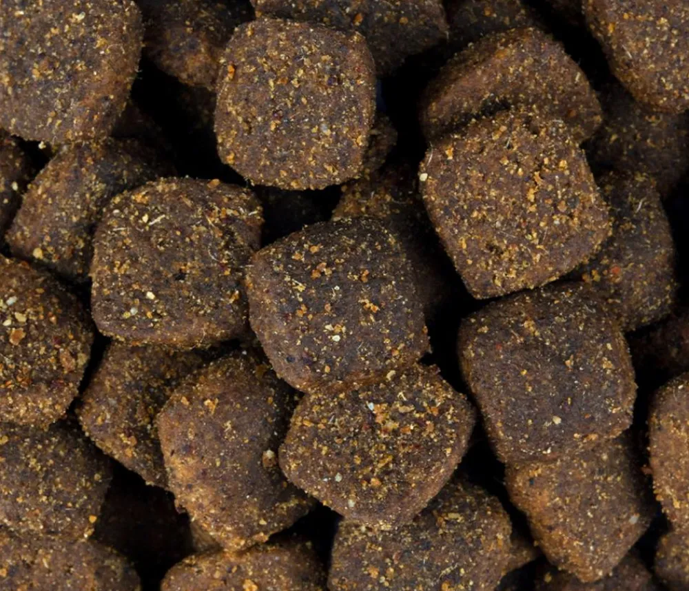 Carnilove Trockenfutter Hund > Trockenfutter für Hunde Adult, Lamm & Wildschwein