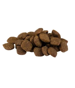Carnilove Trockenfutter Hund > Trockenfutter für Hunde Adult, Lamm & Wildschwein