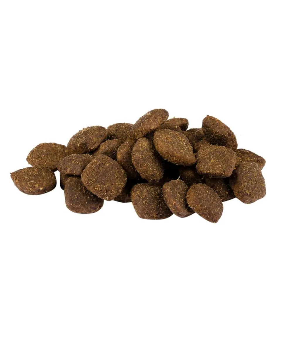 Carnilove Trockenfutter Hund > Trockenfutter für Hunde Adult, Lamm & Wildschwein
