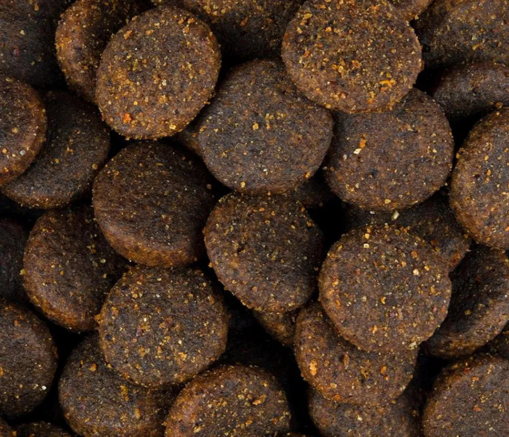 Carnilove Trockenfutter für Hunde Large Breed Adult, Lachs & Truthahn