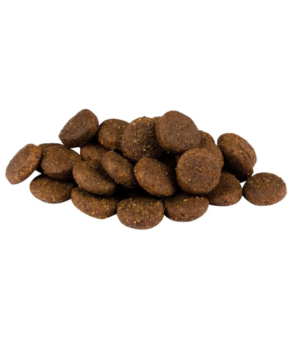 Carnilove Trockenfutter für Hunde Large Breed Puppy, Lachs & Truthahn Outlet
