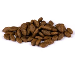 Carnilove Trockenfutter Katze - Trockenfutter für Katzen Sensitive & Long Hair Adult, Lachs
