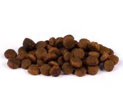 Carnilove Trockenfutter Katze - Trockenfutter für Katzen Large Breed Adult, Ente & Truthahn