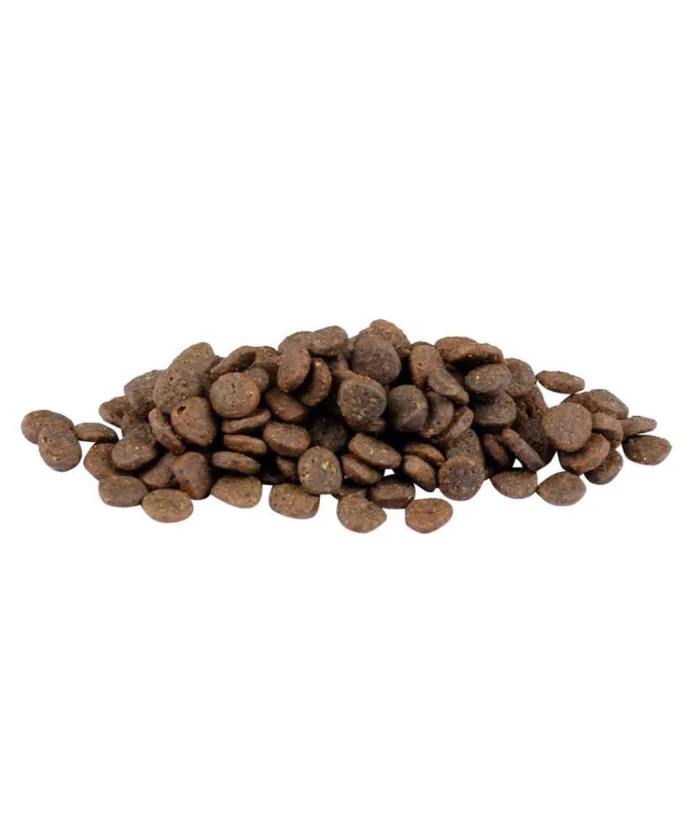 Carnilove True Fresh Trockenfutter für Hunde Welpen, Truthahn Online