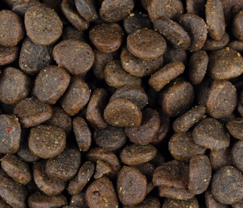 Carnilove True Fresh Trockenfutter für Hunde Welpen, Truthahn Online