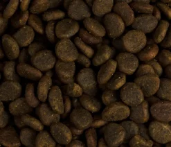 Carnilove Trockenfutter Hund > True Fresh Trockenfutter für Hunde Small Breed Adult, Fisch