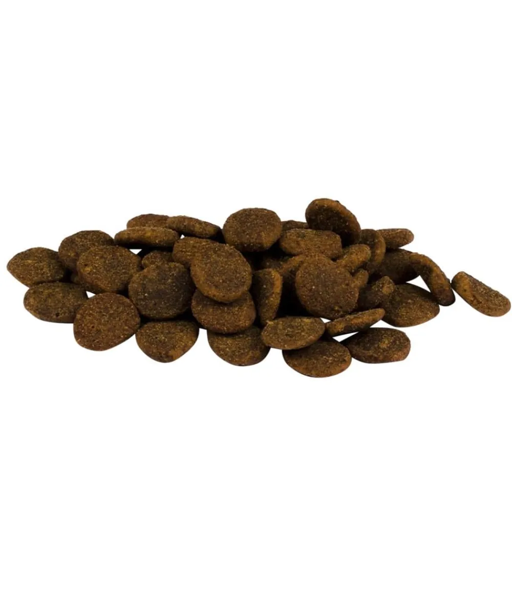 Carnilove Trockenfutter Hund - True Fresh Trockenfutter für Hunde Large Breed Junior, Huhn