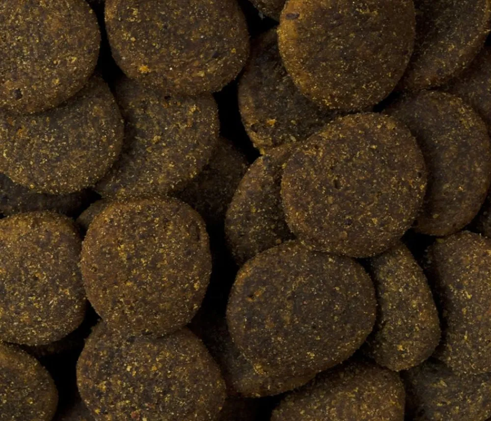 Carnilove Trockenfutter Hund - True Fresh Trockenfutter für Hunde Large Breed Junior, Huhn