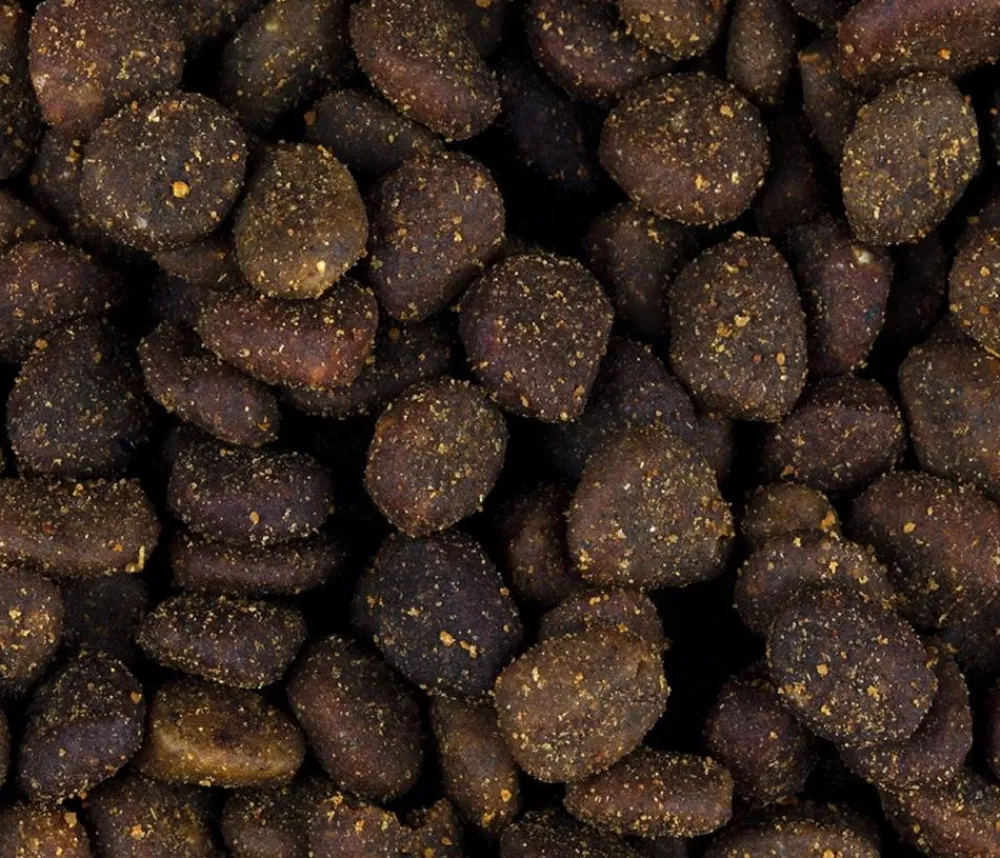 Carnilove Trockenfutter Katze > True Fresh Trockenfutter für Katzen Adult, Truthahn