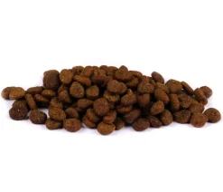 Carnilove Trockenfutter Katze > True Fresh Trockenfutter für Katzen Adult, Fisch