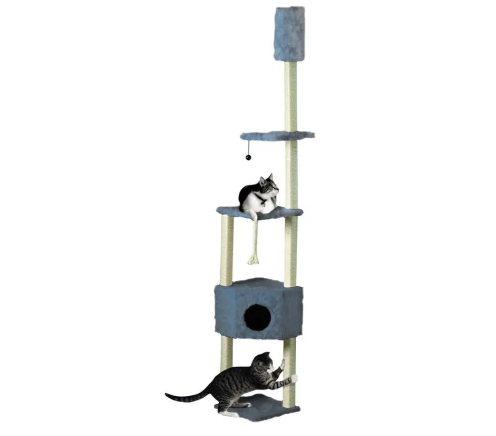 Cat Dream Eck-Kratzstamm Blau New