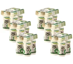 Cativia Katzenleckerlies & Getränke - Katzensnack Katzenmilch, 24 x 95 ml