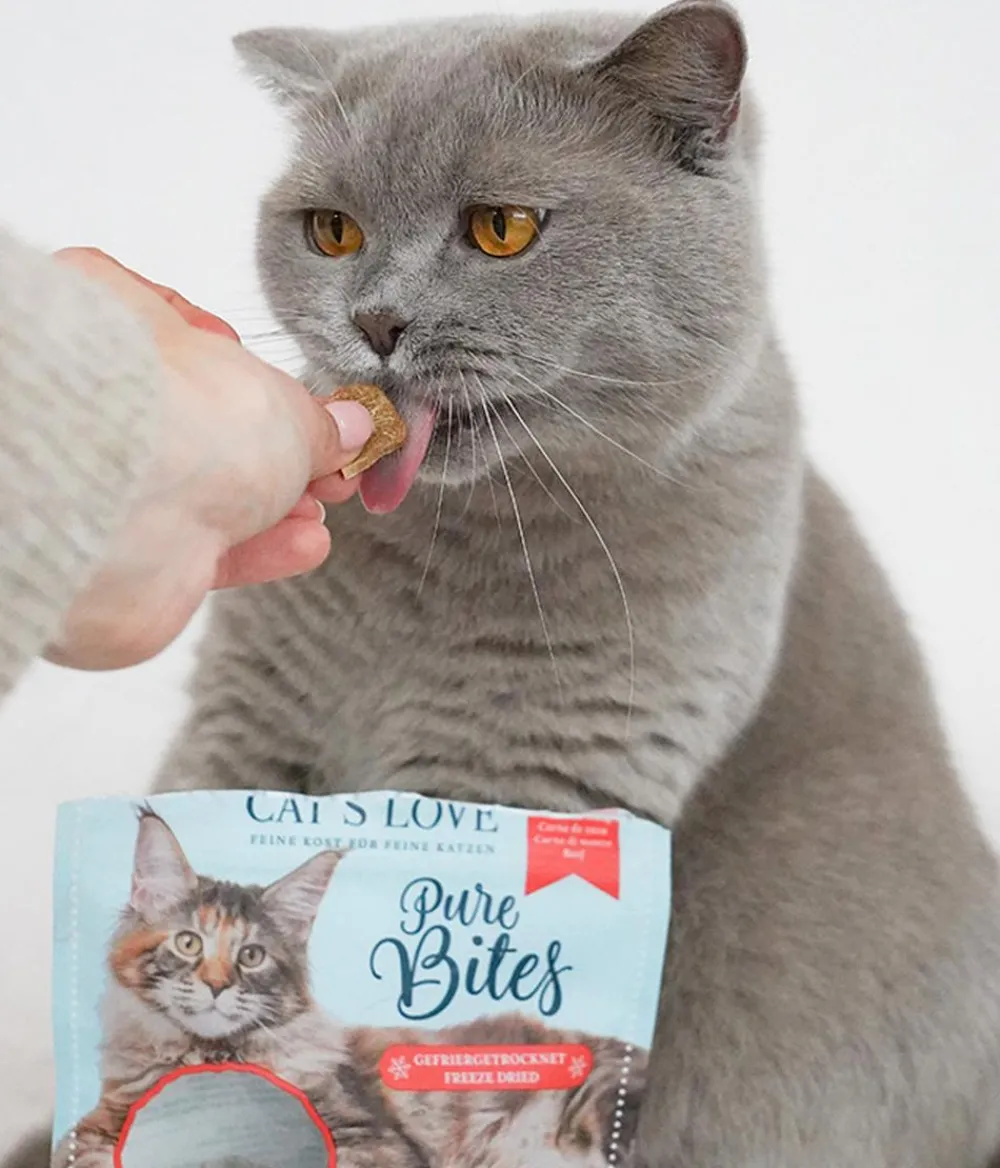 CAT'S LOVE Katzenleckerlies & Getränke - Katzensnack Pure Bites