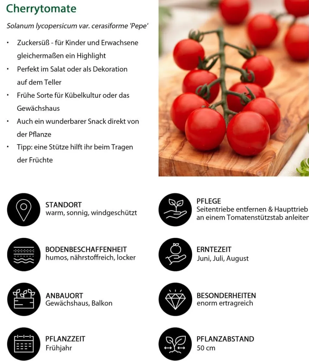 Dehner Auberginen- & Tomatenpflanzen - Cherrytomate 'Pepe' Rot