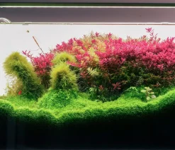 Chihiros Beleuchtung > Aquariumbeleuchtung LED-System B Serie