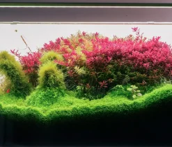 Chihiros Beleuchtung > Aquariumbeleuchtung LED-System B Serie