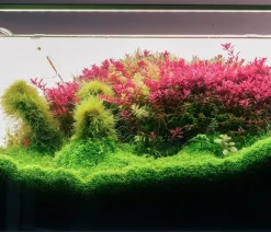 Chihiros Aquariumbeleuchtung LED-System B Serie Silber Online
