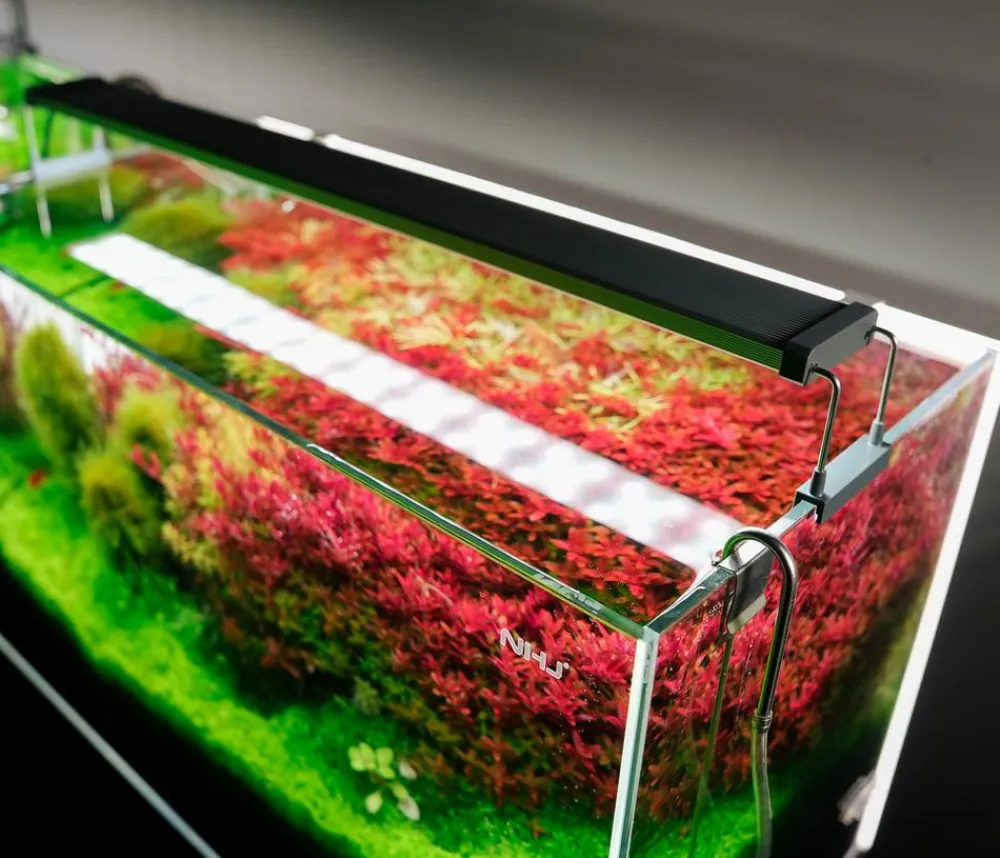 Chihiros Aquariumbeleuchtung LED-System B Serie Silber Online