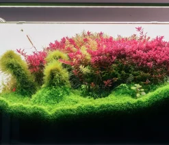 Chihiros Beleuchtung - Aquariumbeleuchtung LED-System B Serie Silber