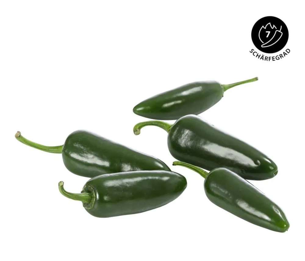 Dehner Chili 'Jalapeño' Rot Outlet