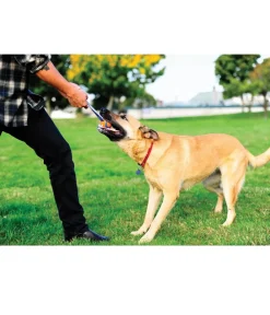 Chuckit! Hundespielzeug > ® Hundespielzeug Ultra Tug mit Handschlaufe