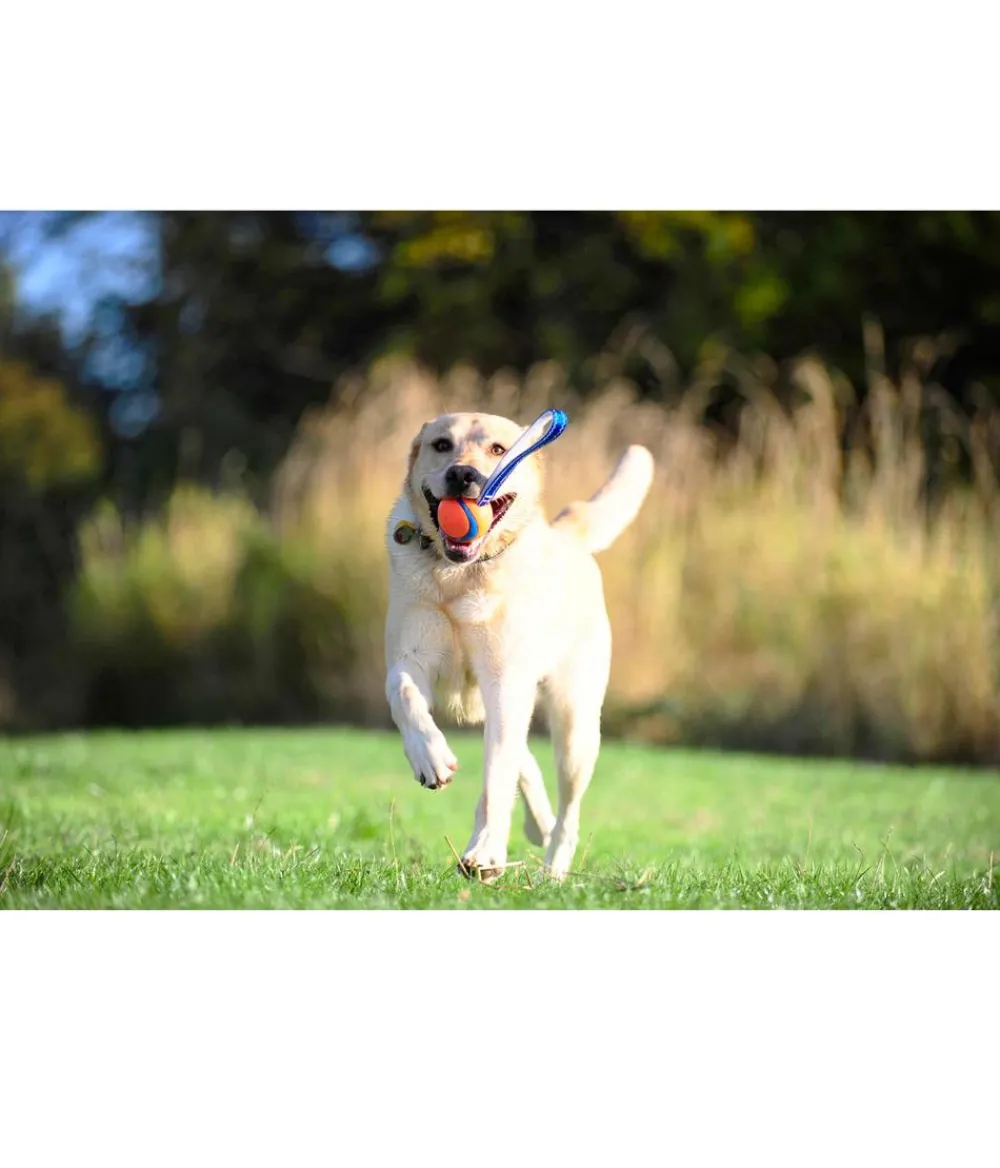 Chuckit! Hundespielzeug - ® Hundespielzeug Ultra Tug mit Handschlaufe Orange