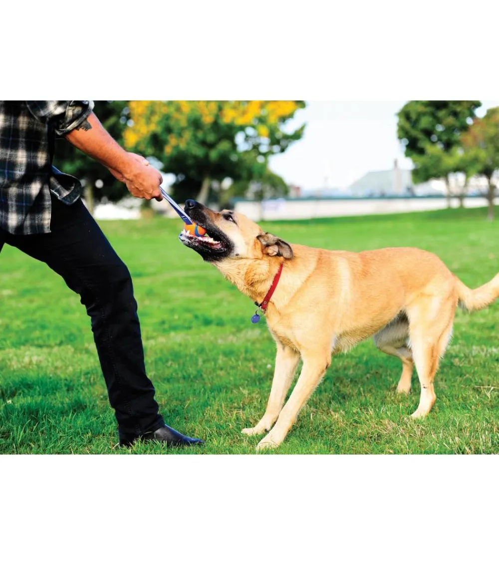 Chuckit! Hundespielzeug - ® Hundespielzeug Ultra Tug mit Handschlaufe Orange