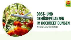 Compo Bio-Dünger > BIO Hochbeetdünger, 1 l