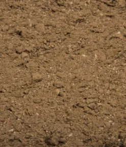 Compo Universaldünger|Blumendünger - BIO Naturdünger mit Guano