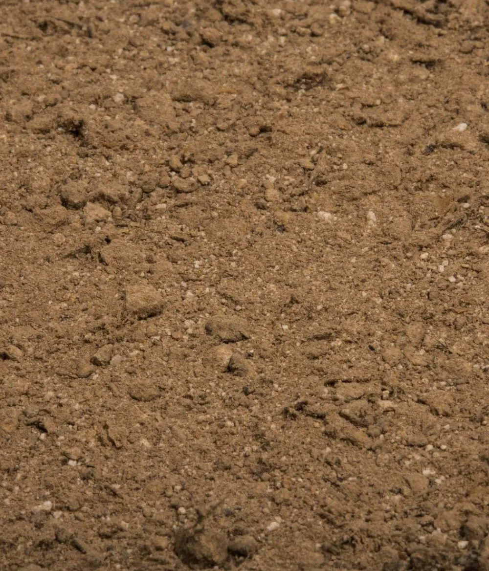 Compo Universaldünger|Blumendünger - BIO Naturdünger mit Guano